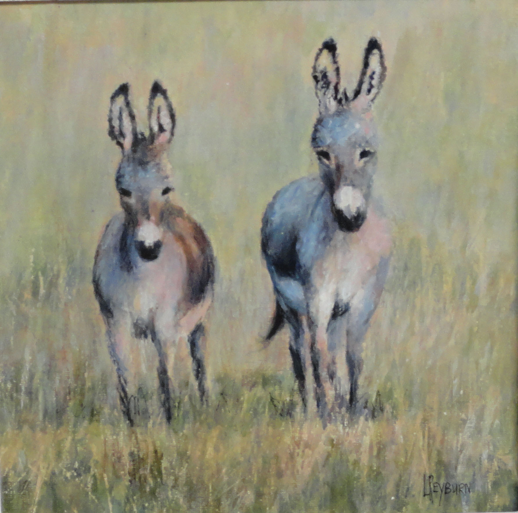 Two donkeys